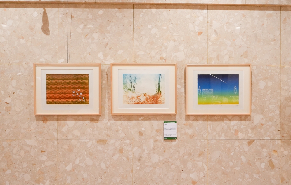 展示の模様GALLERY